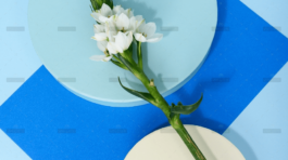 demo-attachment-722-pexels-daria-liudnaya-7354669